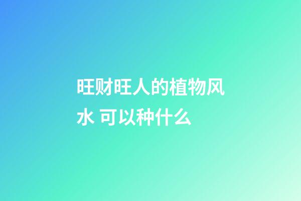旺财旺人的植物风水 可以种什么